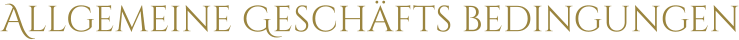 Allgemeine Geschäfts bedingungen